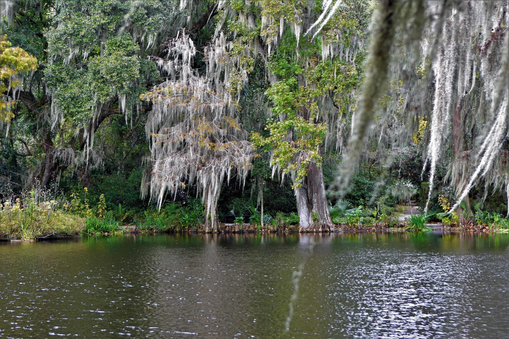 Charleston 7.jpg